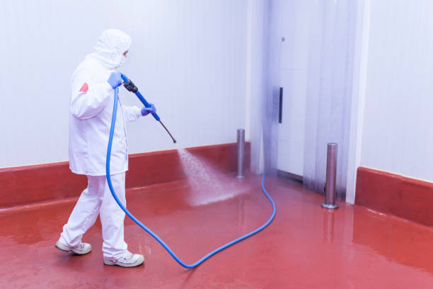 Paint Preparation in Homedale, ID