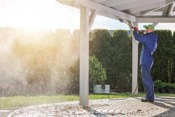 Animal Enclosure Cleaning in Homedale, ID
